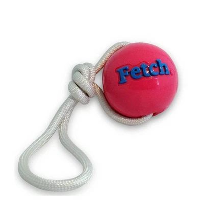 Planet Dog Orbee-Tuff Tug Fetch Ball Interactive Play Dog Toy Pink - image 1 of 4