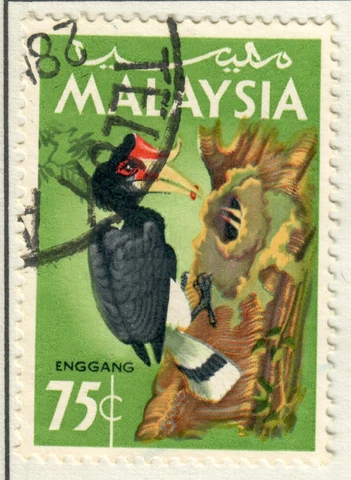 Malaysia - 1965 Birds - Buceros rhinoceros Cover
