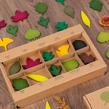 Leaf Wooden  Puzzles Early Stem Educational Toy for Boys Girls Kids