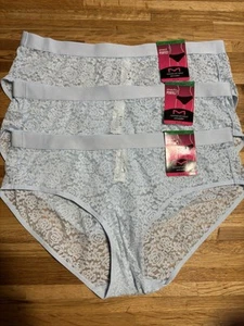 NWT 3 pairs/lot MAIDENFORM L/7 DM204C STRETCH PERFECT LACE BLUE BRIEF PANTY - Picture 1 of 3