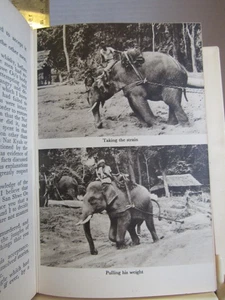 Elephant Bill Lt Col. J. H Williams 1955 HB DJ VG photos ww2 Burma India theater - Foto 1 di 9