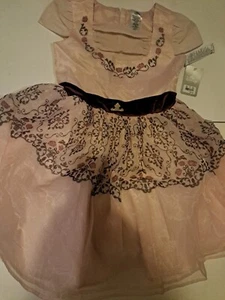Disney Princess Cinderella Dress - Girls 11-12 Pale Pink & Purple Dress Tag $60 - Picture 1 of 16