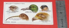 1922 WILLS CARD DO YOU KNOW CIGARETTES? DID YOU KNOW #7 BIRD BIRD BEAK