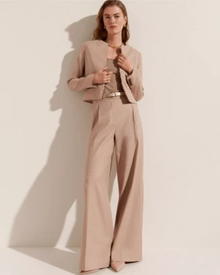 NEW ANN TAYLOR $129 CAMEL TAUPE LINEN TWILL PLEATED WIDE LEG PANTS SZ 6P - Image 1 of 4