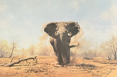 Guy Coheleach - 充电大象 - 非洲印刷艺术 - 签名和加盖章 — 第 1/4 张图片