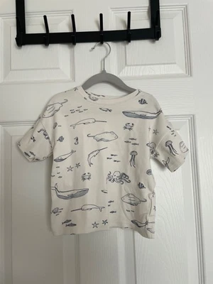 camiseta pehr niños 5 años Foto 1 de 2