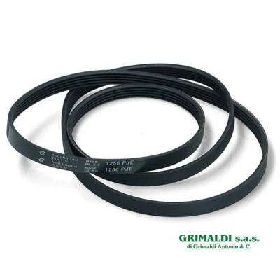 CINGHIA 1256 5PJE TRAINO LAVATRICE ITWASH SANGIORGIO 39601003200 39901003201