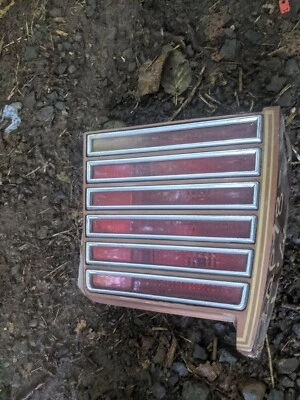 Pontiac Grand Prix 1978-1979 luz trasera izquierda izquierda lente bisel con extensión Foto 1 de 2