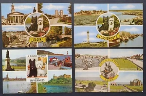 4 Post War SCOTTISH TERRIER Dogs Scottish Towns MultiView postcards B - Picture 1 of 1