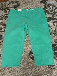 NWT J Jill size 20 R High Rise Straight Leg Denim Crop Lt Beach Glass Raw Hems - Picture 1 of 7