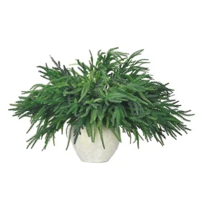 12Pcs Xmas Norfolk Pine Branches, Real Touch Norfolk Pine Branches - 18" Chri... - Picture 1 of 7