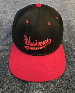 Ursinus College Bears Trucker Mesh Baseball Snapback Cap Hat - Picture 1 of 10