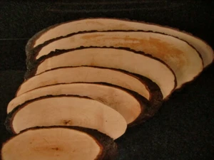 Käsebrett Rinde Schneidbrett Rindenbrett ERLE Holz Deko Servierbrett Baumscheibe - Bild 1 von 14