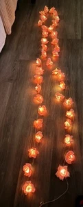 Fairy String Lights LED Rose Flower String Lights Indoor lights - Picture 1 of 9