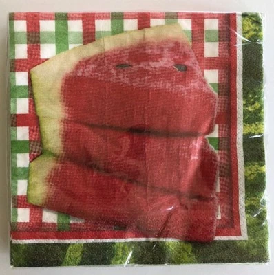 Watermelon Summer Luncheon Napkins 16/pk Birthday Party Decor Slice of Summer - Image 1 of 4