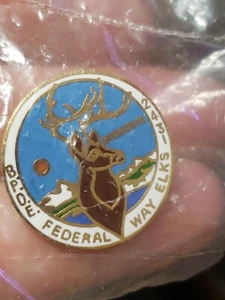 B P O E Number 2431 Federal Way Washington Buckhorns Lapel Pin Elk - Picture 1 of 5