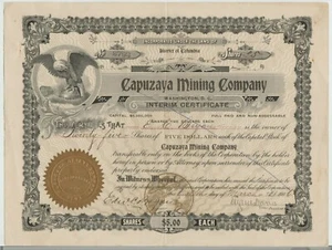 1906 Certificado de acciones de la compañía minera Capuzaya Distrito de Columbia - Imagen 1 de 1