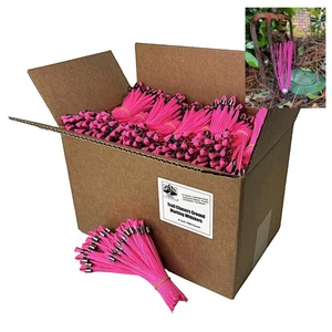 Trail Chasers Pink 6"Marking Flags for Survey, Landscaping, Trails 1000-Ct - Picture 1 of 8
