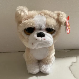 Ty POOCH English Bull Dog Beanie Boo Peluche 6” NUEVO - Imagen 1 de 4