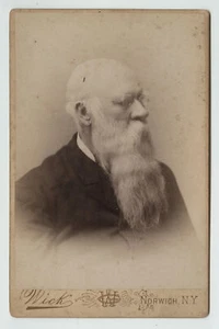 1880s Cabinet Card Rev. B.D. Peck, D.D. by G. Wick, Norwich, New York, Great Bea - Picture 1 of 2