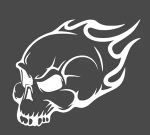 Skulls Flames 2 decal - Picture 1 of 2