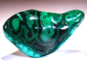 3.45" 7.7 oz Top Quality Polished Bull's Eye Malachite, Congo! M506 - Picture 1 of 4