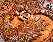 SIAN MEDIVAL Wood Battleworn Viking Shield- Scudo rotondo per uccelli...
