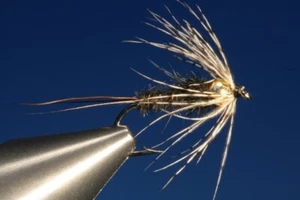Plumas de pavo real - Bild 1 von 3