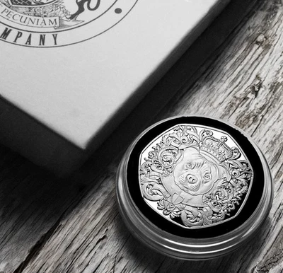 Moneda conmemorativa de plata STAFFORDSHIRE BULL TERRIER en caja de regalo. Staffy/Perro Foto 1 de 4