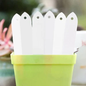 Plant Label White Tags Stick Garden Seed Labels Pot Tray Markers Greenhouse 100x - Picture 1 of 5