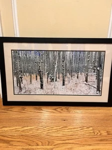 Dan & Cindy Hartman limitierte Auflage Foto 25/300 Aspen im Winterwald Winterzeit, signiert - Bild 1 von 11