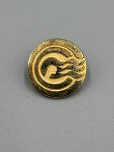 Princess Cruises Captain’s Circle Gold Member Lapel Pin Round - Picture 1 of 3