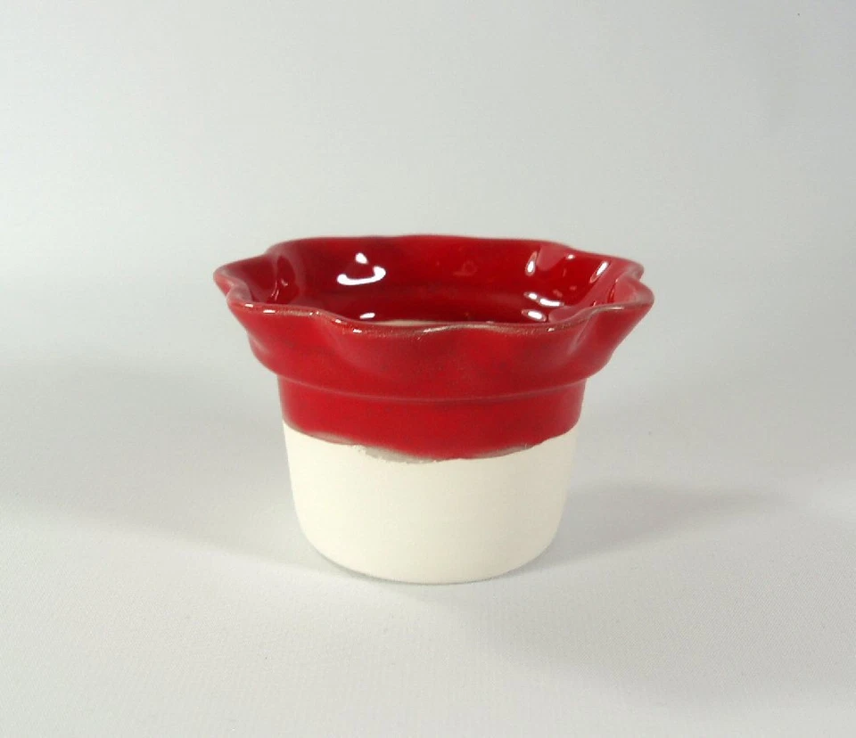 Inserto solo para Mini Violeta Africana-ELECCIÓN hecho por encargo Foto 1 de 1