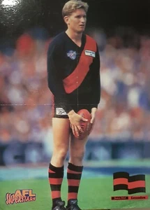 James Hird Afl Superstar Series Print. - Picture 1 of 3