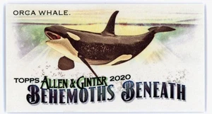 Mini Behemoths Beneath 2020 Topps Allen & Ginter #MGB-8 Orca Whale - Imagen 1 de 2