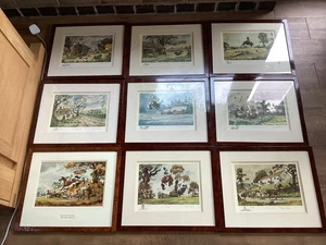Thelwell Pony Limited Edition Prints X 9 Framed Under Glass - Picture 1 of 19