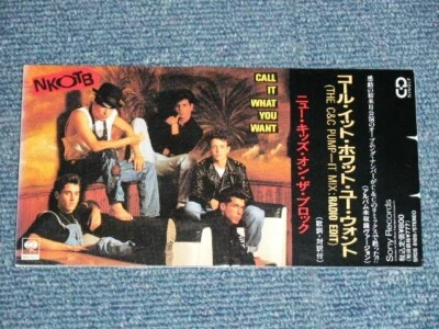 NEW KIDS ON THE BLOCK Japan '90 SRDS-818 3" Tall CD Single CALL IT WHAT YOU WANT - Image 1 of 4