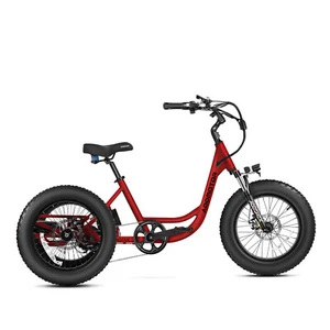 ADDMOTOR LANDTAN Electric Tricycle 750W Rear Motor 65Miles with Differential - Picture 1 of 12
