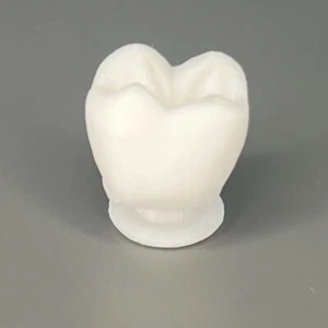 Tooth Shoe Charm 1 Pc ~ 3d Printed (PLA) ~ Fits Crocs & Most Similar Shoes - Picture 1 of 3