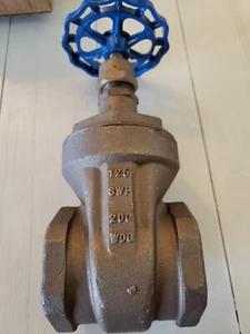Nibco Full Port Brass Gate Valve 2-1/2" T-113 125 SWP 200 SWP - Picture 1 of 6