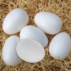 20 piezas huevos de paloma falsos suministros de aves para carreras de palomas simulación artificial - Imagen 1 de 12