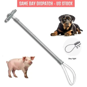 Strapazierfähige Edelstahl Schwein & Hund Fangstange mit verstellbarer Farrowing Snare 20" Werkzeug - Bild 1 von 6