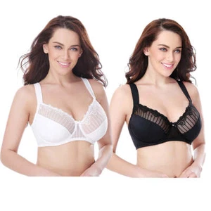 Womens Plus Size Minimizer Underwire Bra With Lace Embroidery-2 Pack-Butter - Picture 1 of 7
