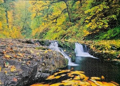 North Fork Silver Creek, головоломка 1000 шт., високосный год - Изображение 1 из 2