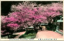 Vtg Carte Postale 1910s Nagasaki Hoataru-Chaya Cerise Blossoms - Inutilisé