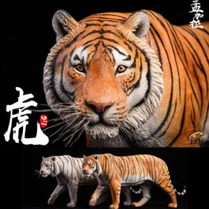 New JXK 1/6 Bengal Tiger White Tiger Figure Animal Model Collector Decor Toy - Picture 1 of 27