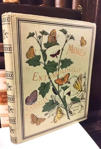 MUSEO ENTOMOLOGICO LE FARFALLE storia naturale  HOEPLI 1885  - SORDELLI - Foto 1 di 5