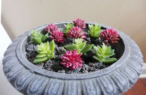 Artificial Grass Miniature Succulents Plants Red Green Lotus Stone 12 Pcs (M25) - Picture 1 of 3