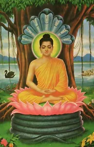Buda Meditando Budismo Retrato Pintura Arte Póster Impreso ELIGE TAMAÑO - Imagen 1 de 1