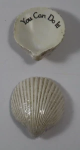 DD4 You can do it INSPIRATIONAL MESSAGE SHELL ANGELSTAR kleine Figur - Bild 1 von 4